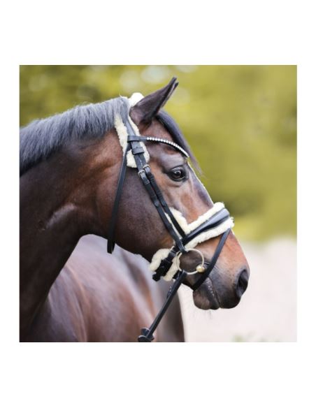 Ogłowie Joyce KavalSH4 KAVALKADE