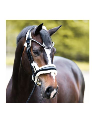 Ogłowie Joyce KavalSH4 KAVALKADE