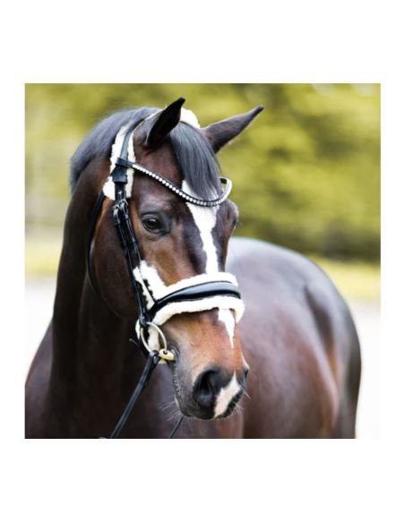 Ogłowie Joyce KavalSH4 KAVALKADE