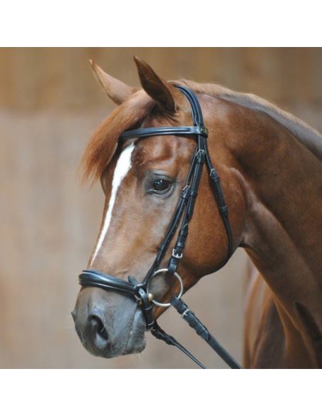 Ogłowie Lina KAVALKADE