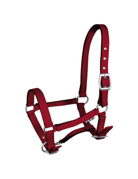 Kantar dla źrebiąt Tobi YORK