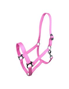 Kantar Harmony YORK 2