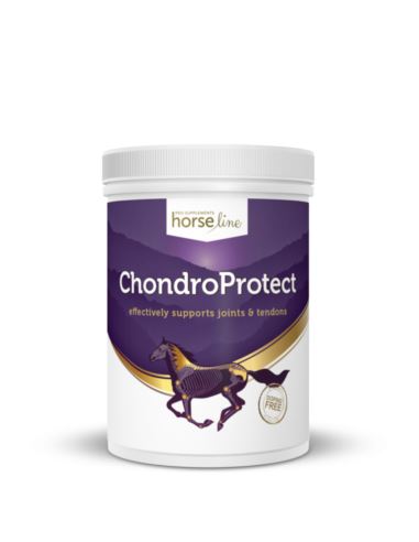 Suplement ChondroProtect 900g HORSELINEPRO