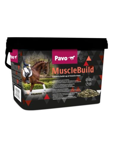 MuscleBuild na rozbudowe mięśni 3kg PAVO