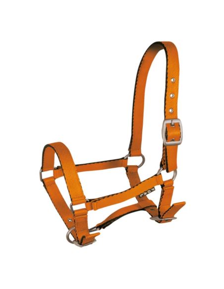 Kantar dla źrebiąt Tobi YORK