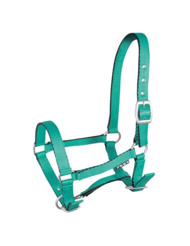 Kantar dla źrebiąt Tobi YORK