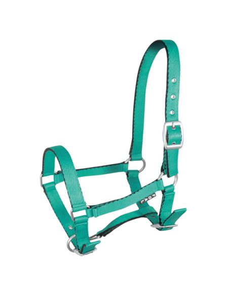 Kantar dla źrebiąt Tobi YORK