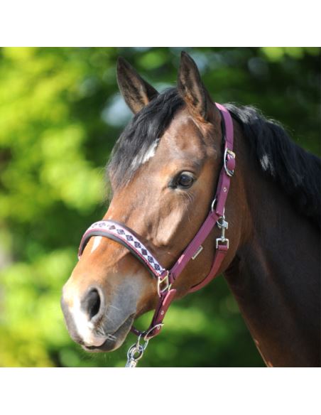 Kantar "Classic" KAVALKADE