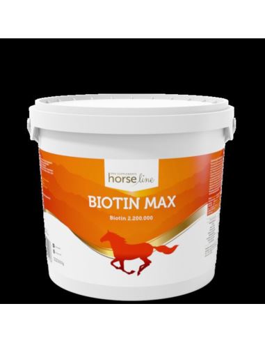Biotyna Biotin Max 3kg HORSELINEPRO