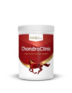 Suplement ChondroClinic 690g HORSELINEPRO