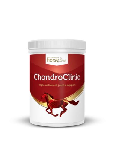 Suplement ChondroClinic 690g HORSELINEPRO