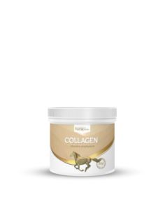 Kolagen 300g HORSELINEPRO