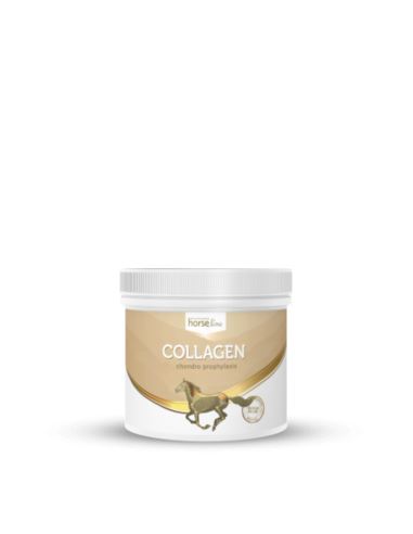 Kolagen 300g HORSELINEPRO