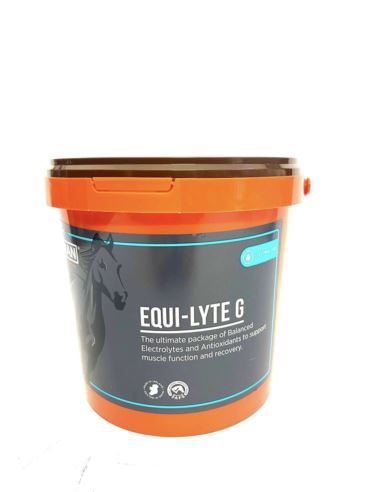 Equi-Lyte G Elektrolity z witaminą C i E 1kg FORAN