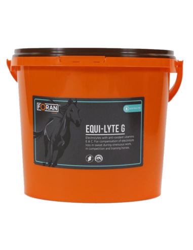Equi-Lyte G Elektrolity z witaminą C i E 4kg FORAN