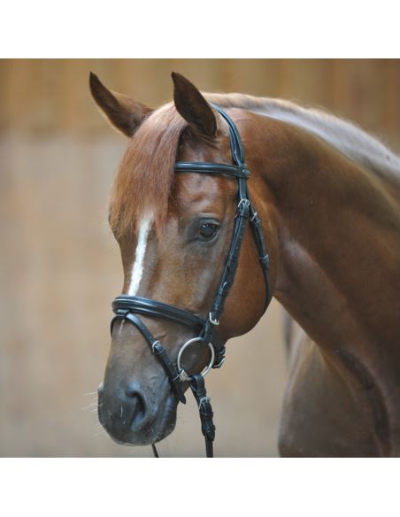 Ogłowie Quentin KAVALKADE