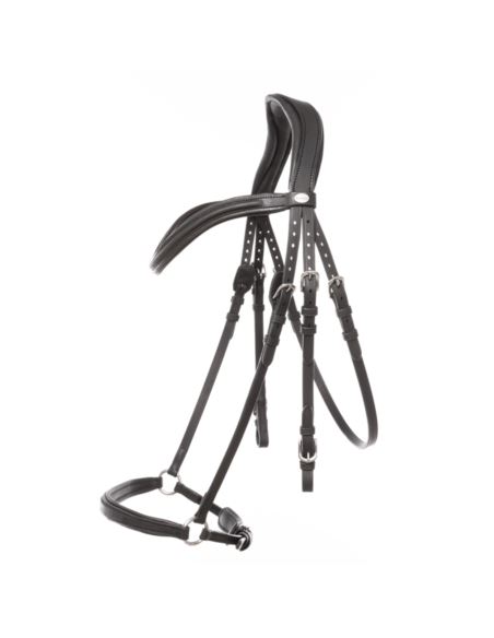 Ogłowie hanowerskie Everana KAVALKADE