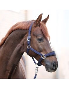 Kantar Classic Simple KAVALKADE 2