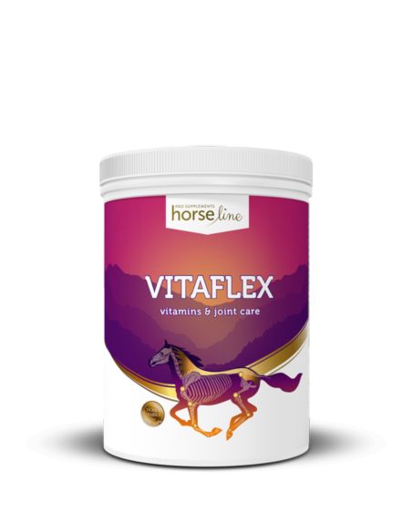 Suplement VitaFlex 2000g HORSELINEPRO