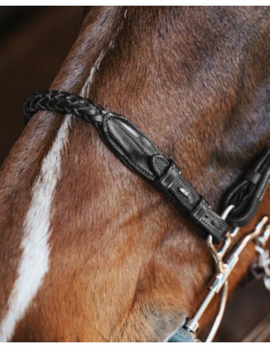 Pasek do hackamore Richard FAGER