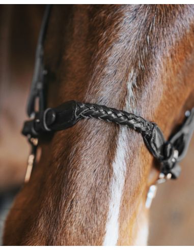 Pasek do hackamore Richard FAGER