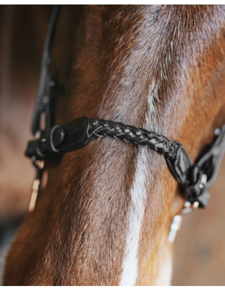 Pasek do hackamore Richard FAGER