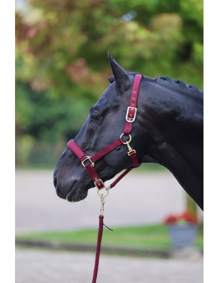 Kantar Classy COVALLIERO