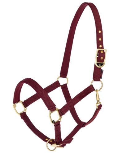 Kantar Classy COVALLIERO