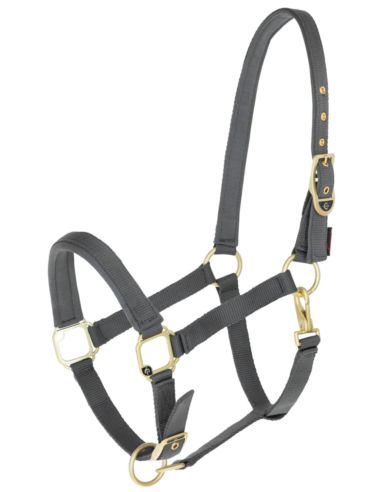 Kantar Classy COVALLIERO