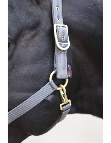 Kantar Classy COVALLIERO