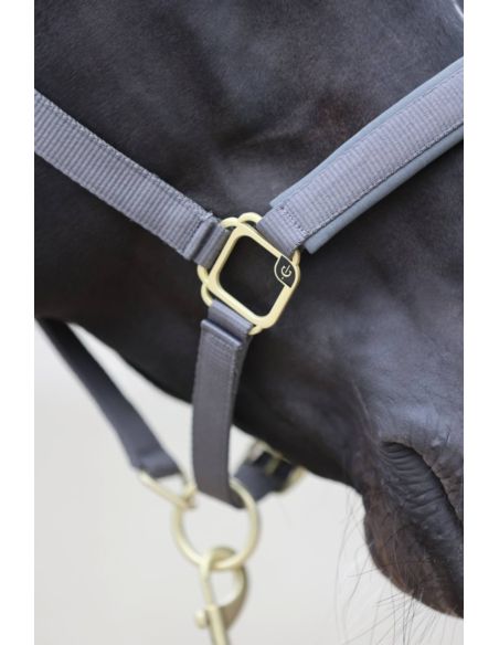 Kantar Classy COVALLIERO