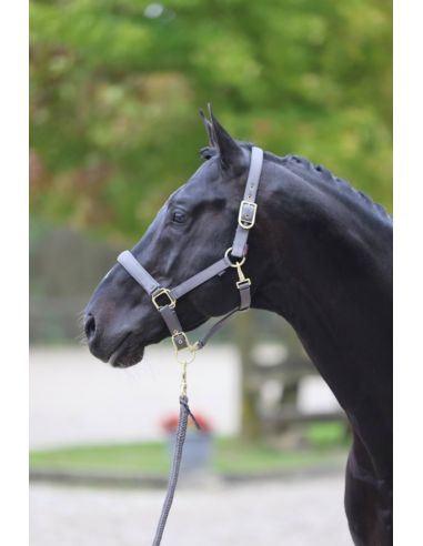 Kantar Classy COVALLIERO