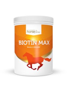 Biotyna Biotin Max 500g HORSELINEPRO