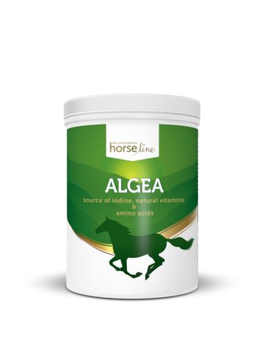 Algi morskie Algea 1500g HORSELINEPRO