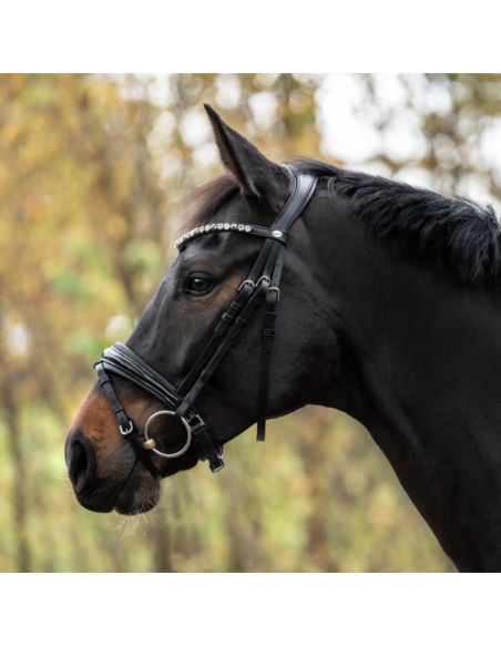 Ogłowie Zora KAVALKADE