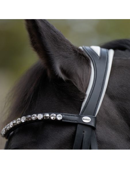 Ogłowie Zora KAVALKADE