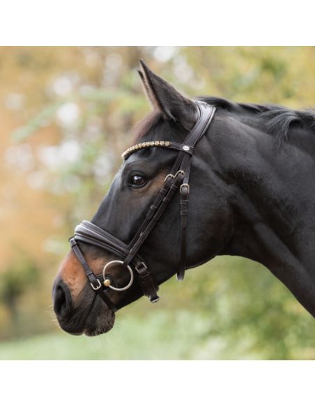 Ogłowie Zora KAVALKADE