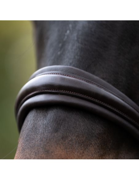 Ogłowie Zora KAVALKADE