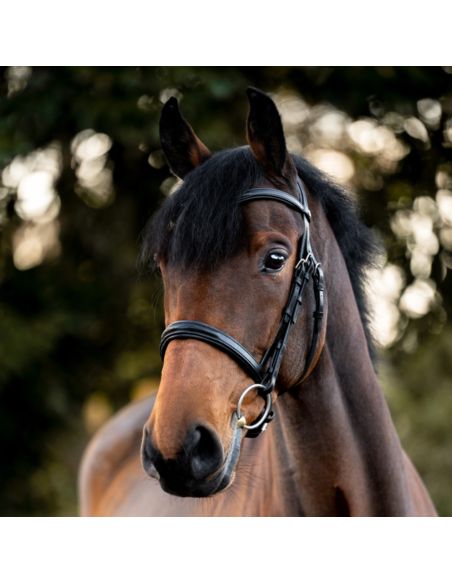 Ogłowie Robin KavalSH KAVALKADE