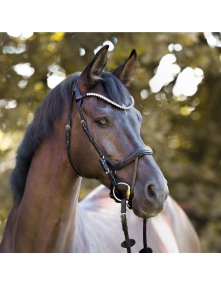 Ogłowie Calla KAVALKADE