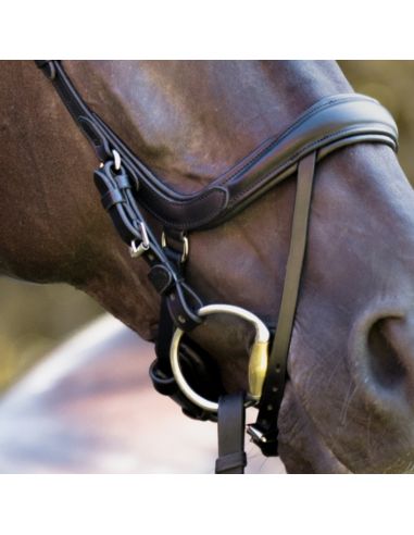 Ogłowie Calla KAVALKADE