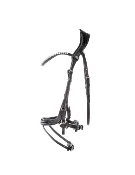 Ogłowie Calla KAVALKADE