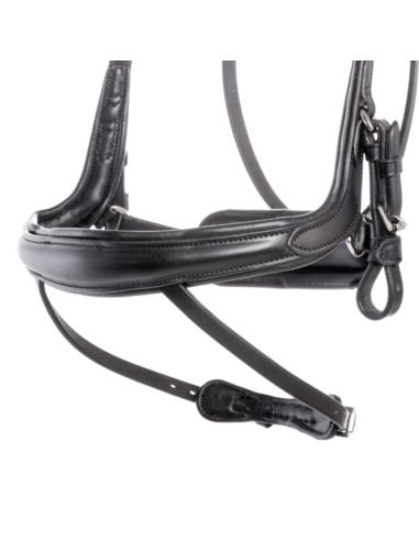 Ogłowie Calla KAVALKADE