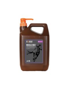Suplement na mięśnie Muscle-Max 5l FORAN