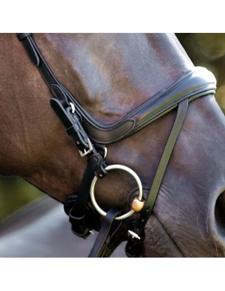 Ogłowie Cajus KAVALKADE