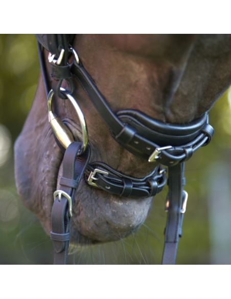 Ogłowie Cajus KAVALKADE