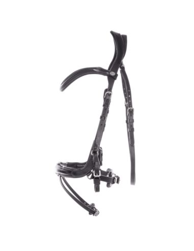 Ogłowie Cajus KAVALKADE