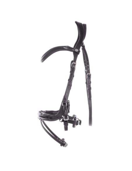 Ogłowie Cajus KAVALKADE