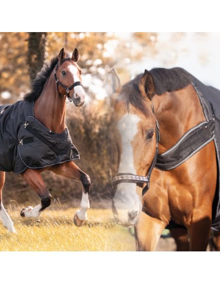 Derka padokowa i do karuzeli Halifax KAVALKADE