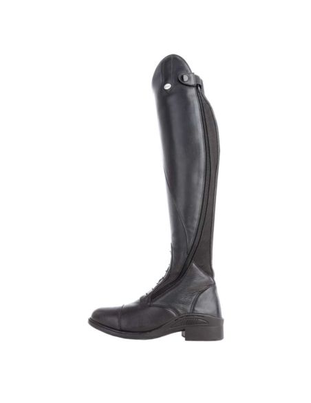 Oficerki Maximus KAVALKADE